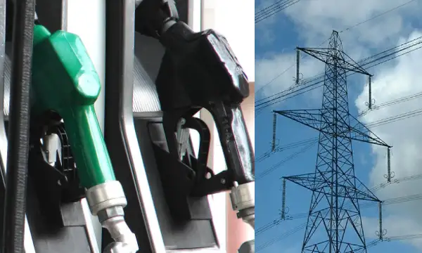 Picture from the story: Rising Fuel Costs: How Longer Shelf-Lives Help